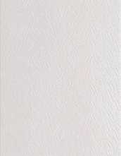 Настенная плитка RIALTO SHINE 28.5x85.5 от Alcor Azulejos (Испания)